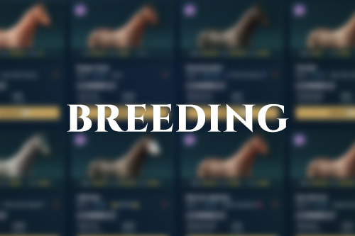 Breeding Feature Image
